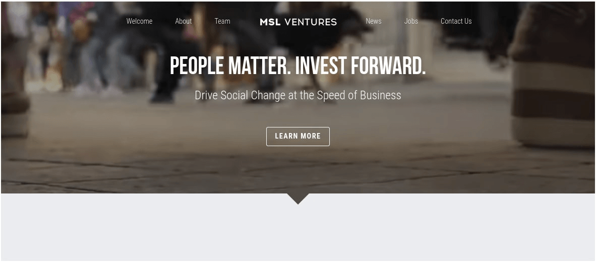 null Strikingly Website Template for Finance Blog